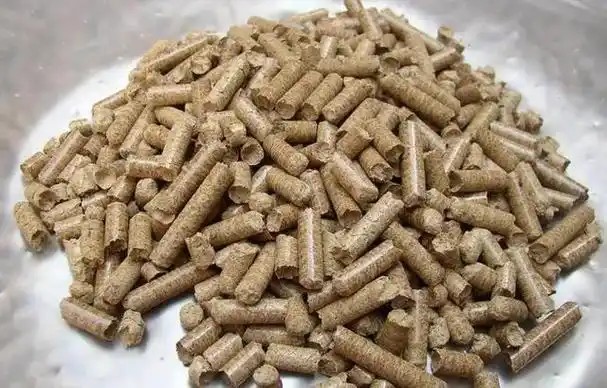 1734056142264393.jpg u=1759176136,3792420334&fm=253&fmt=auto.jpg